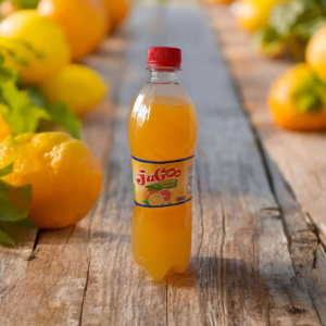 Jus de fruit Jugoo Saveur Citrus Punch